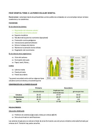 FISIO VEGETAL TEMA 1 Pdf