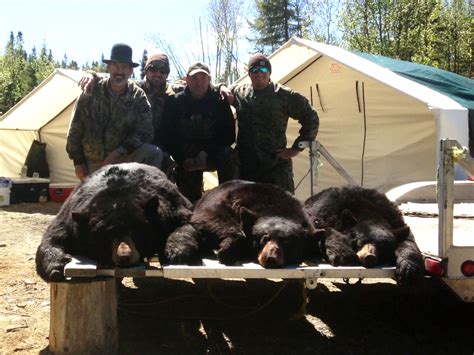 Our Hunts Caribou Cove Outfitters Big Game Hunting In Newfoundland