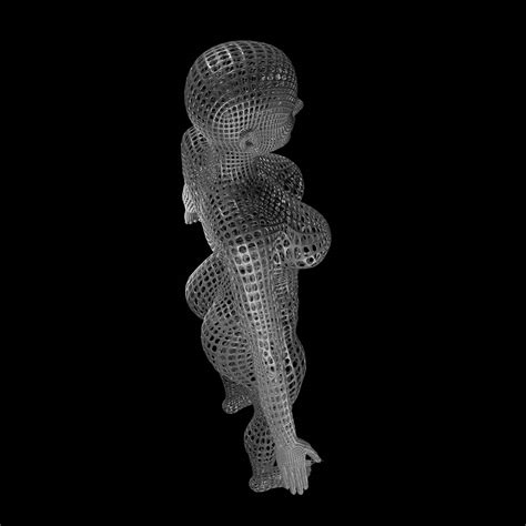 3d Woman Wireframe Turbosquid 1987119