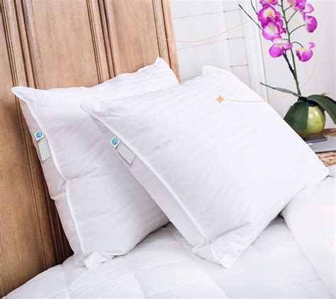 Readystock Continental Bedding Superior Down Fill Power