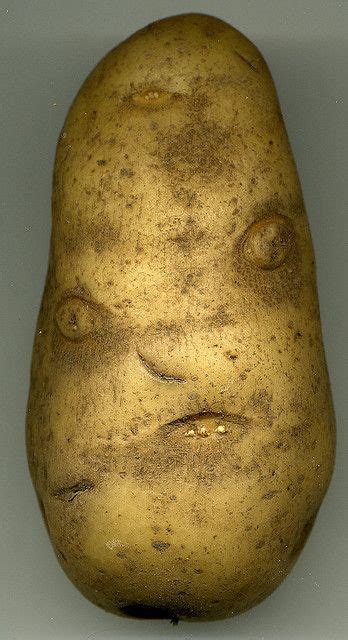 Angry Potato - Funny Vegetables