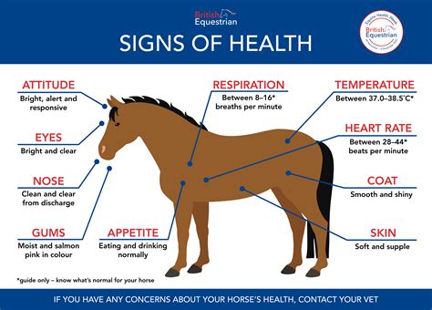 Equine Health Week 2022 British Equestrian