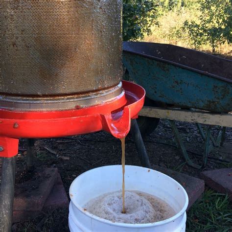 Cider Making Process Santa Cruz Cider Company