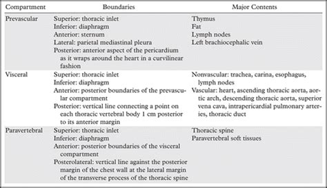 Anterior Mediastinum Contents