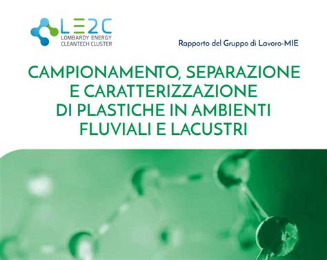 Linee Guida Del Gdl Mie Per La Caratterizzazione Delle Plastiche Nelle