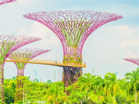 Gardens by the Bay Tour (Private)