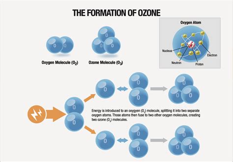 Ozone Therapy - Tru Functional Health