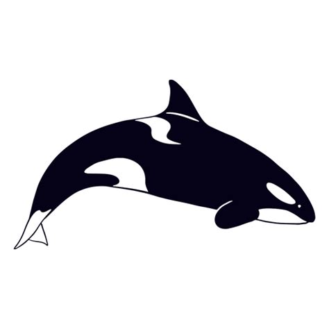 PNG Y SVG De Ballena Con Fondo Transparente Para Descargar