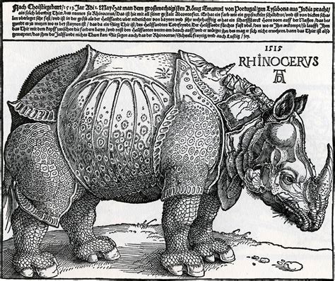 kART à voir n188 Rhinocéros 1515 Albrecht Dürer