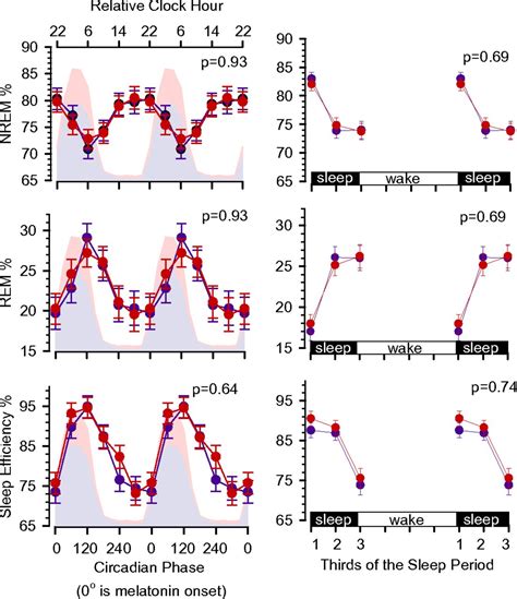 Sex Differences In The Circadian Regulation Of Sleep And Waking