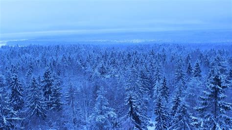 Alutaguse Rahvuspark Ja Alutaguse Rahvuspargi Külastuskeskus