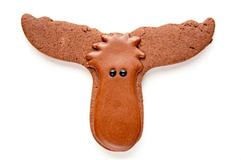 Chocolate Moose The Cookie Way The Bearfoot Baker