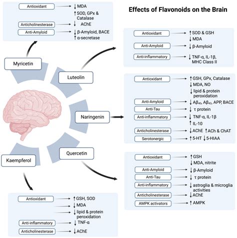 Antioxidants Free Full Text Honey And Alzheimers Diseasecurrent