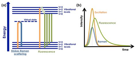 Sensors Free Full Text Modulated Raman Spectroscopy For Enhanced