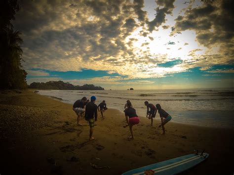 Kalon Surf: The Ultimate Summer Getaway for Families and Solo Travelers