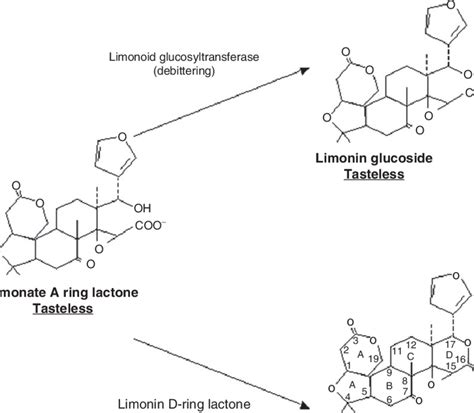 Limonid Based Bitterness And Debittering Of Limonoids In Citrus