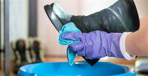 How To Clean Mold From Leather An Easy Step By Step