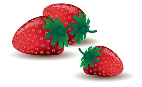 Drei Erdbeeren Stock Illustrationen Vektoren Kliparts 596 Stock