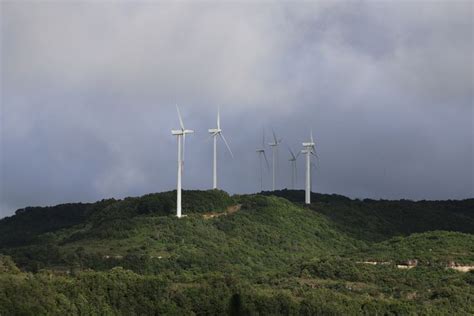 Parque Eólico Cerro De Hule Bird Watching Wind Turbine Turbine