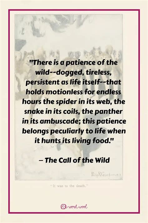 33 Top "The Call of the Wild" Quotes That Roar With Strength