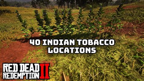 40 Indian Tobacco Locations In Red Dead Redemption 2 Youtube