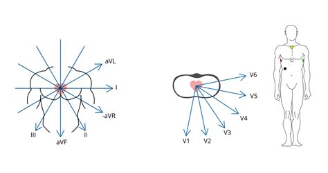 Lead Systems How An Ecg Works Cardiosecur