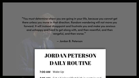 Jordan Peterson Daily Routine