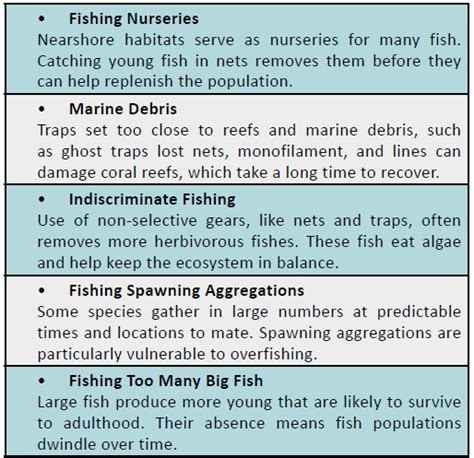 How Does Overfishing Threaten Coral Reefs? – The Maritime Review