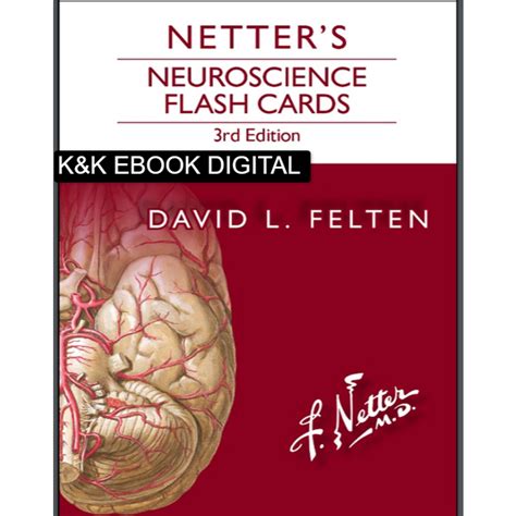 Jual Pdf Buku Netter S Atlas Of Neuroscience Edisi 3 2016 Shopee