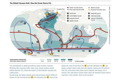 What Is The Humboldt Current Peru Current With Maps