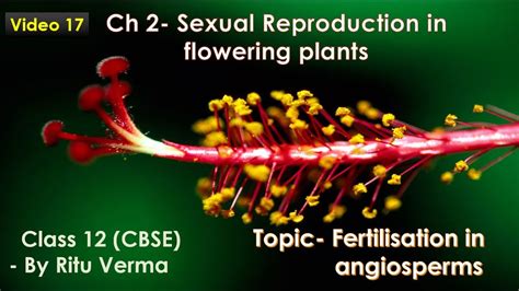 Cbse Grade 12 Unit 2 Sexual Reproduction In Flowering Plants