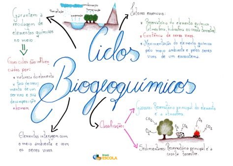 Ciclo Biogeoquimico Del Agua