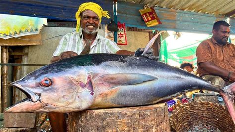 Kasimedu Mr Sathya Kg Biggest Yellow Tuna Fish Cutting In