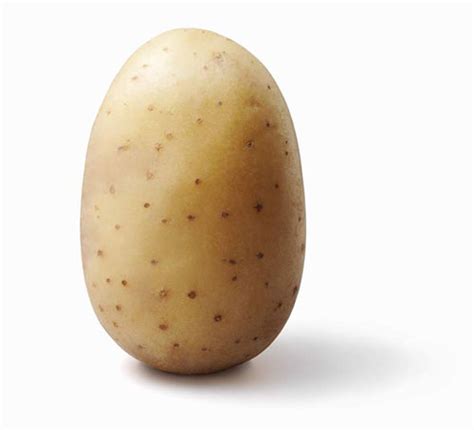 peter gwyn potatoes potato merchants  north wales chester