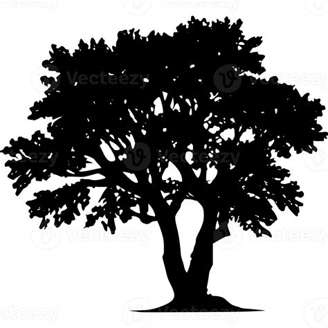 Tree silhouette set on a transparent background 47414376 PNG