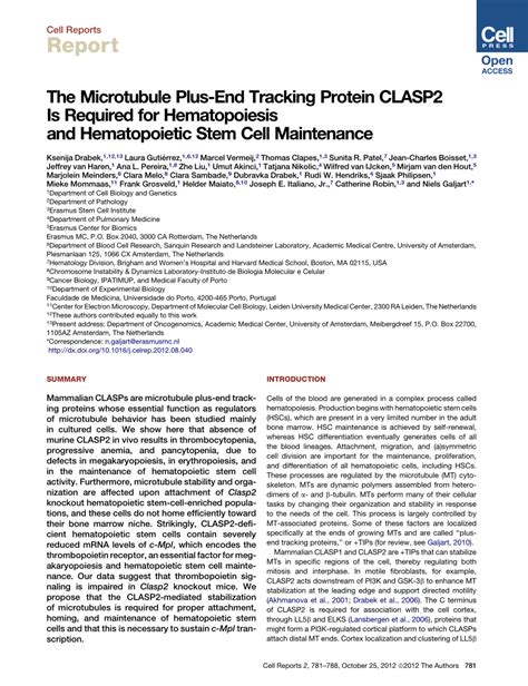 PDF The Microtubule Plus End Tracking Protein CLASP2 Is Required For