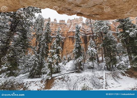 Bryce Canyon National Park Hoodoo Forest Winter Snow View Stock Photo - Image of winter, nature ...