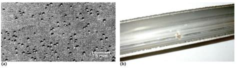 pitting  area  pitting cluster   single  wall pit