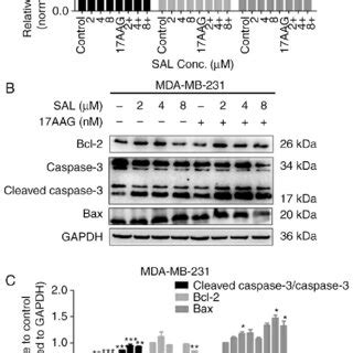 Expression Of Apoptosis Related Genes In Human Breast Cancer Cells A