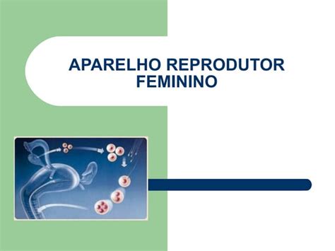 Sistema Reprodutor Feminino Ppt