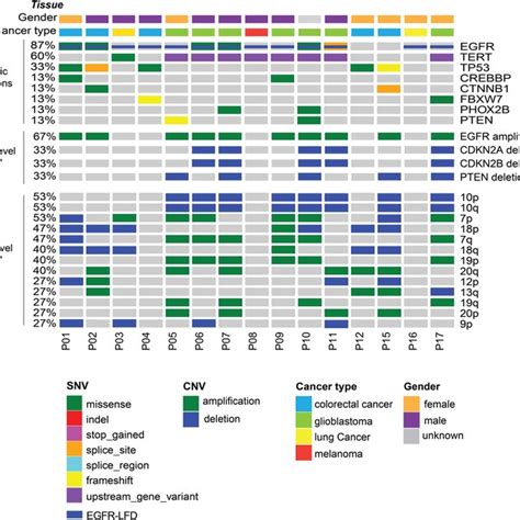 Genomic Landscape Of Patients With Egfr Large Fragment Deletion