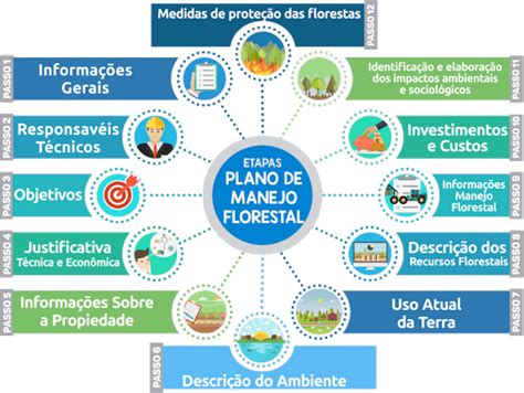 Organiza O E Administra O De Empresas E Projetos Florestais