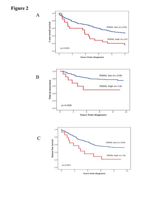 High Expression Of PODXL Protein Is Associated With A Poor Outcome In