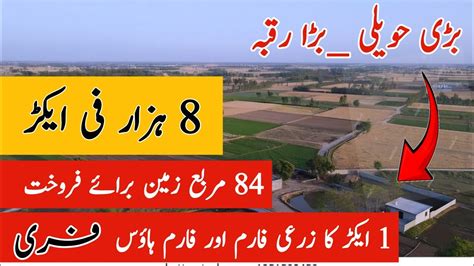 Agriculture Land For Sale In Punjab Pakistan Zameen For Sale In