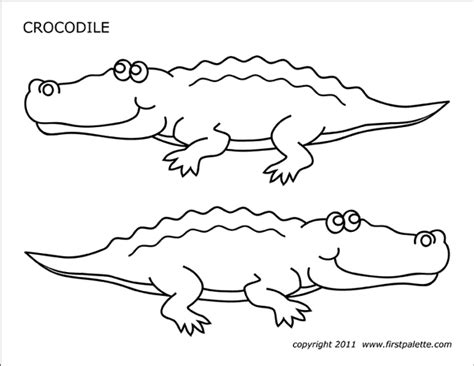 Preschool Pages Of A Crocodile Coloring Pages