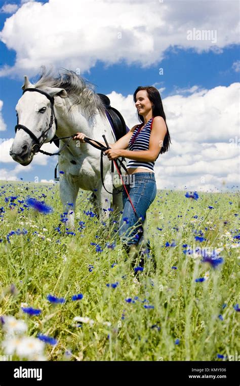 Pferd Stehend Auf Einer Blumenwiese Fotos Und Bildmaterial In Hoher