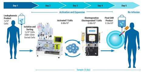 Recent Advancements in Cell Based Therapy - UWINHEALTH