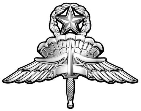 High Altitude Low Opening Halo Master Parachutist Wings Badge Metal