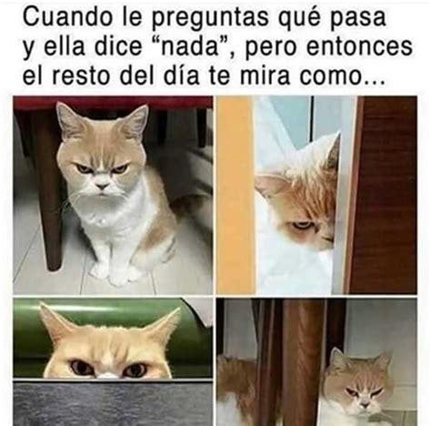 Los Mejores Memes De Esta Semana Compartidos Por WhatsApp Twitter Y