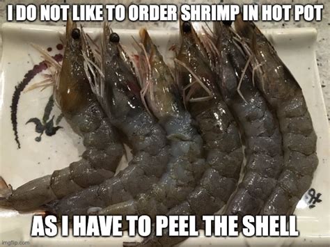 Shrimp Imgflip